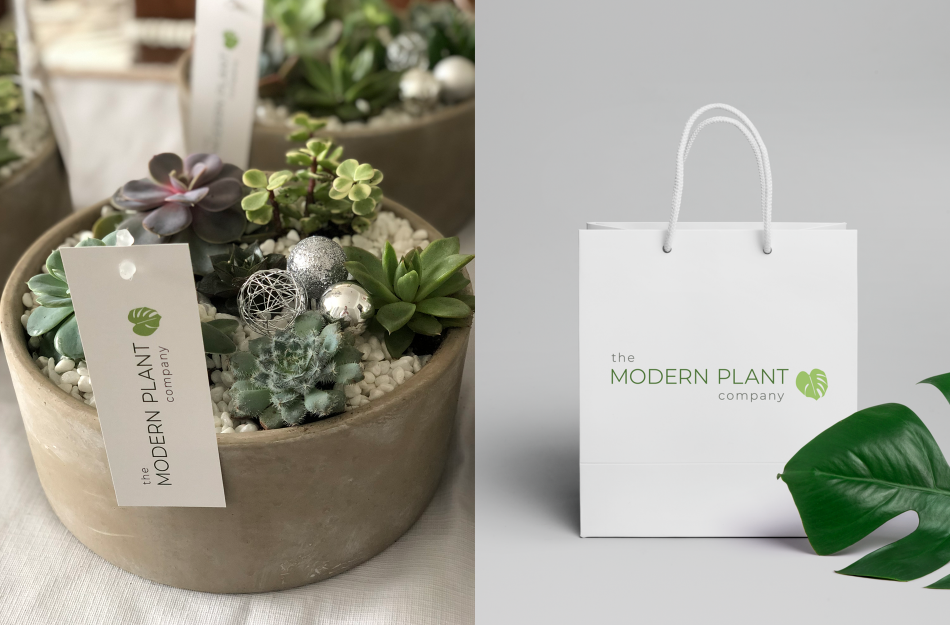 A plant tag showing The Modern Plant Company logo sits in a decorative succulents pot, on the left. On the right is a mockup of The Modern Plant Company logo on a shopping bag.